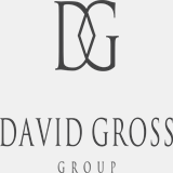 davidgrossgroup.com