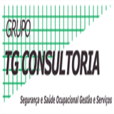 grupotgconsultoria.com