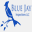 bluejayinspections.com