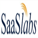 thesaaslabs.com