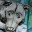 pourlamourdesanimaux.wordpress.com