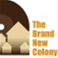 thebrandnewcolony.wordpress.com