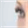 flutterlashextensions.com
