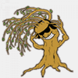 mbckarate.com