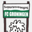 svfcgroningen.nl