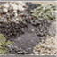seedtoseedblog.wordpress.com