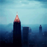 driveanimalclinic.com