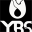 ybsgroup.tumblr.com