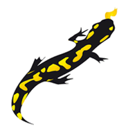 fhoenix.co.nz