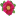heritageroses.org.nz