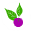 callicarpa.org