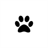 basilisk2.com
