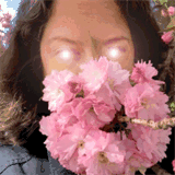 hilairerehabandnursing.com