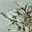 grainsdargile.over-blog.com