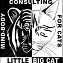 littlebigcat.com