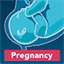 pregnancyanimation.com