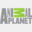 animalplanet.com