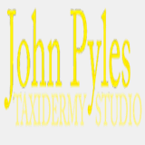 johnpylestaxidermy.com