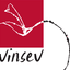 vinsev.com