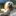 glimmerthedog.wordpress.com