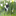 chtipotager.over-blog.com