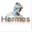 hermes-controle.com