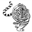 thaixing.com