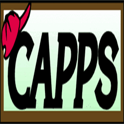 cappsautorepair.com