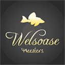 app.welsoase-meesters.de