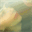 kelledy.com