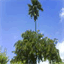bibliotheques-mayotte.over-blog.com