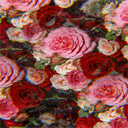 nataliemorravej.blogg.se