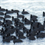 band-of-coots.bandcamp.com