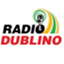 radiodublino.com