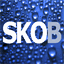 skoblue.com