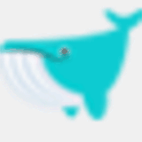 oculusapertus.net