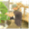 reelbonsai.wordpress.com