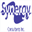 synergyconsultants.net