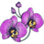 crimsonorchiddesigns.com