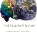 gracehealthshoes.com