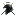 clanshadowwolf.com