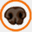 petdogdetection.com