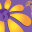 globalsunflower.com