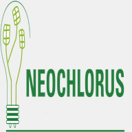 neochlorus.com