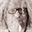 loemsch.de