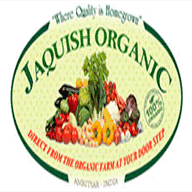 organicvegamritsar.com