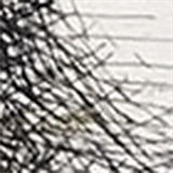 mimicri.net