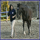 natural-horsemanship.natural-golden.de