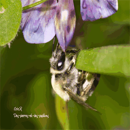 des-pierres-et-des-papillons.over-blog.com