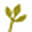 shellimakes.com